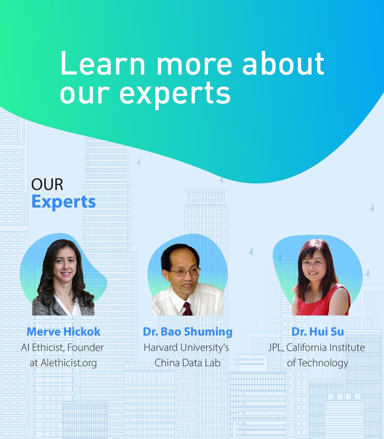 Expert Interviews Mobile