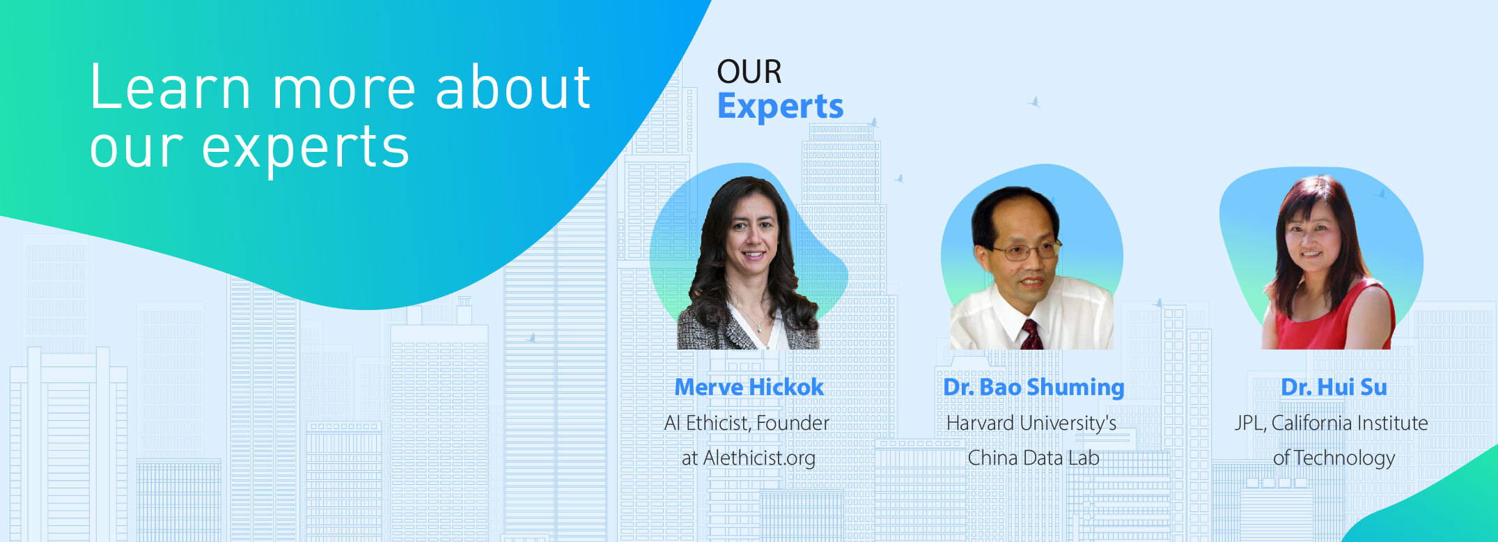 Expert Interview Web